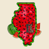 Illinois Watermelon Ladies Tee | Teevron