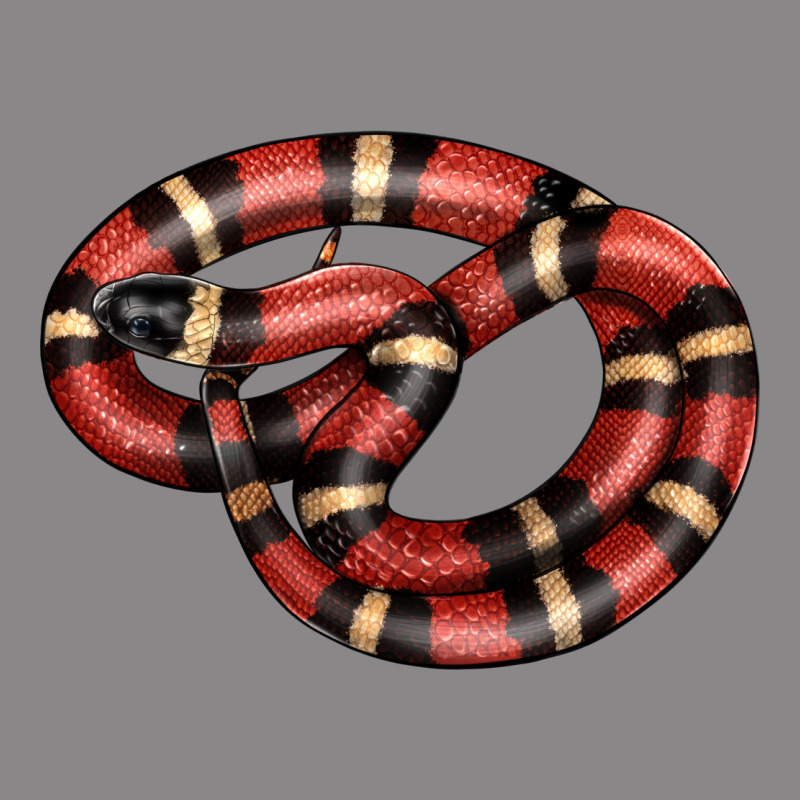 Milk Snake Vintage Tee by LillyAllenDesigns | Teevron