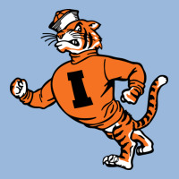 Vintage Walking Angry Tiger Idaho State Premium Hoodie | Teevron