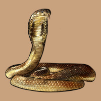 King Cobra Snake Vintage Tee | Teevron