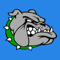 Ashville High School, Ashville Bulldogs Premium Hoodie | Teevron