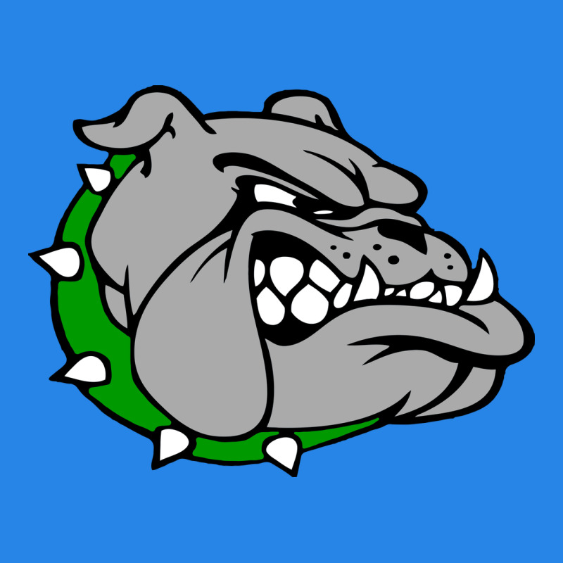 Ashville High School, Ashville Bulldogs Premium Hoodie by PixelFlow | Teevron