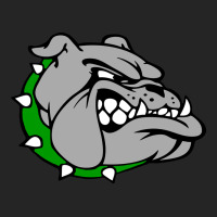 Ashville High School, Ashville Bulldogs Premium Hoodie | Teevron