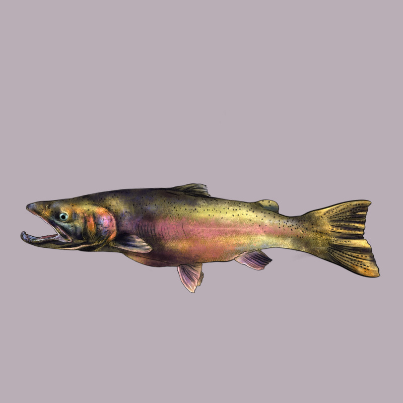 Steelhead Trout Vintage Tee by LillyAllenDesigns | Teevron