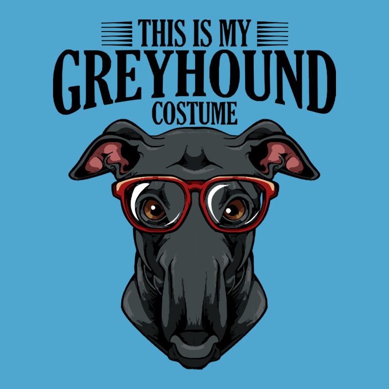 Greyhound T  Shirt Greyhound T  Shirt (3) Premium Hoodie by PixelFlow | Teevron