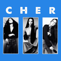 Cher, Cher Heart Of Stone, Cher Cher Cher Cher Cher, Cher Cher Cher Ch Premium Hoodie | Teevron