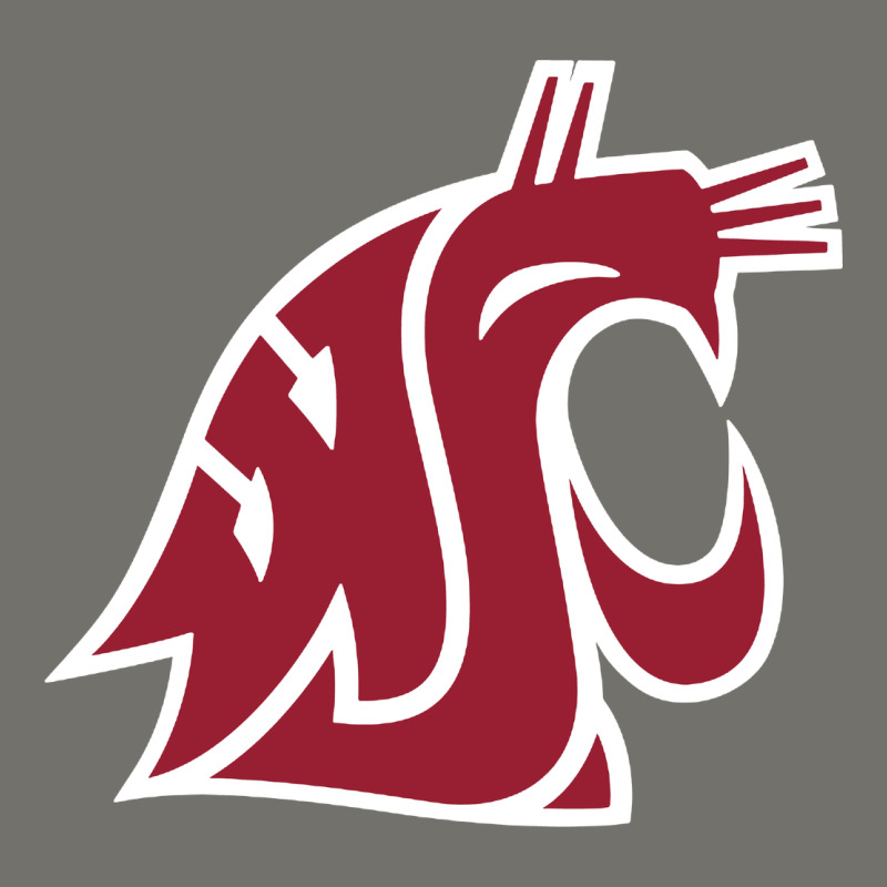 Washington State Cougars Premium Hoodie by PixelFlow | Teevron