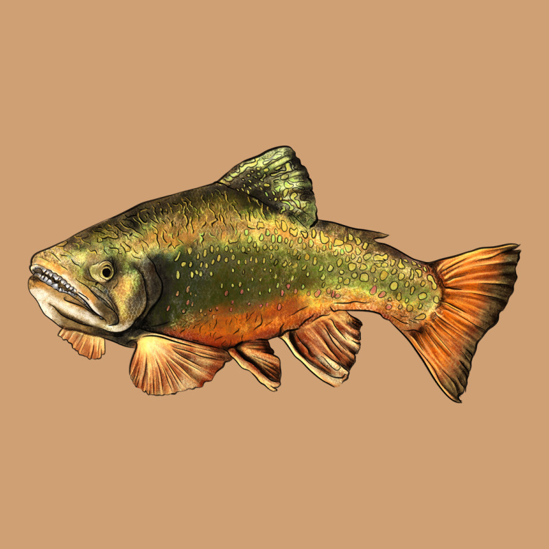 Leaping Brook Trout Vintage Tee by LillyAllenDesigns | Teevron