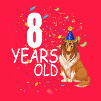 8 Years Old Zipper Hoodie | Teevron