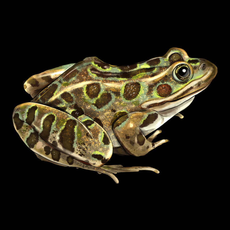 Northern Leopard Frog Urban Heavy Tee by LillyAllenDesigns | Teevron