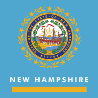 New Hampshire State Flag New Premium Hoodie | Teevron
