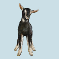 Hand Drawn Baby Alpine Goat Ladies Tee | Teevron