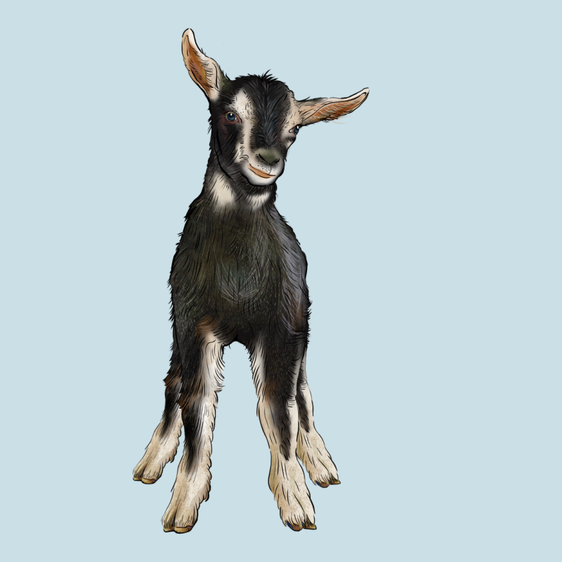 Hand Drawn Baby Alpine Goat Ladies Tee by LillyAllenDesigns | Teevron