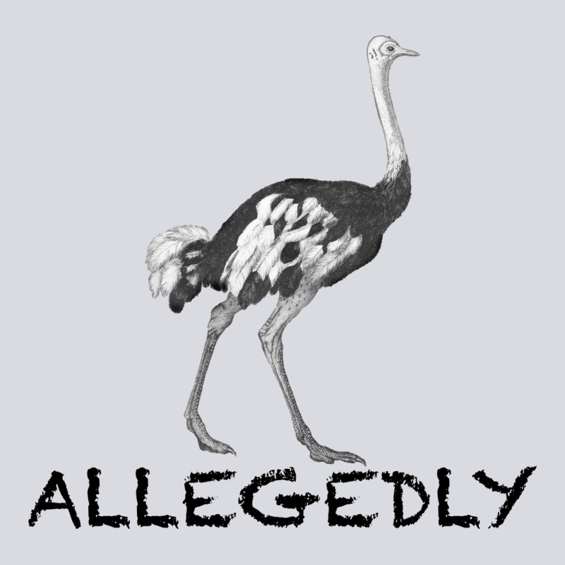 Allegedly Zipper Hoodie by Bettercallsaul | Teevron