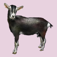 Alpine Goat Ladies Tee | Teevron