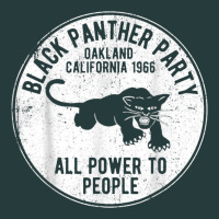 Oakland California 1966 Black Panther Party   Dist Premium Hoodie | Teevron
