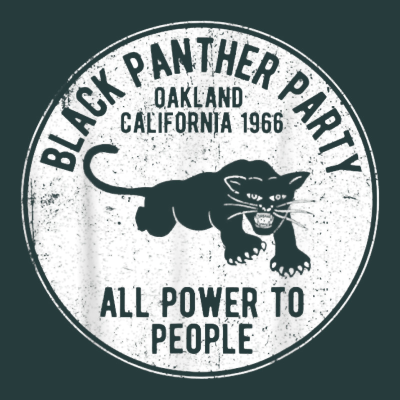 Oakland California 1966 Black Panther Party   Dist Premium Hoodie by FloraArt | Teevron