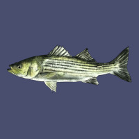 Striped Bass Vintage Tee | Teevron