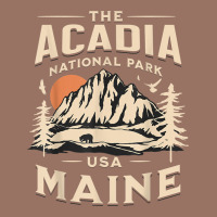 Acadia National Park Maine Nature Hike Outdoors Vintage T Shirt Premium Hoodie | Teevron
