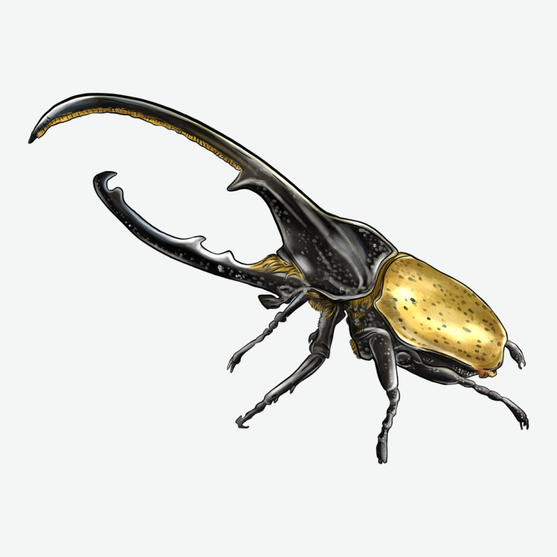 Hercules Beetle Side Urban Heavy Tee by LillyAllenDesigns | Teevron