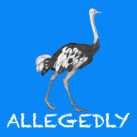 Allegedly Zipper Hoodie | Teevron