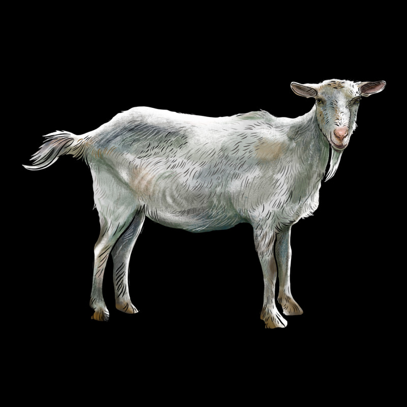 Saanen Goat Ladies Tee by LillyAllenDesigns | Teevron