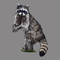 Raccoon Illustrations Vintage Tee | Teevron