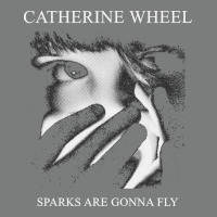 Catherine Wheel, Catherine Wheel Art, Catherine Wheel Vintage, Catheri Premium Hoodie | Teevron