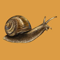 Snail Urban Heavy Tee | Teevron