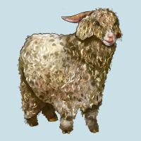Angora Goat Ladies Tee | Teevron