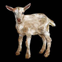 Baby Saanen Goat Ladies Tee | Teevron
