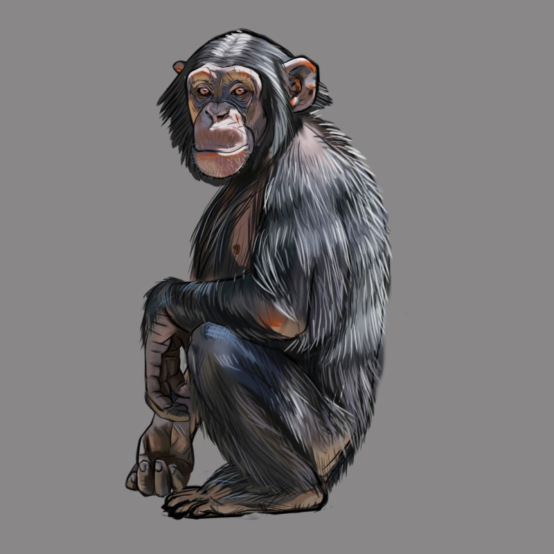 Chimpanzee Illustrations Vintage Tee by LillyAllenDesigns | Teevron