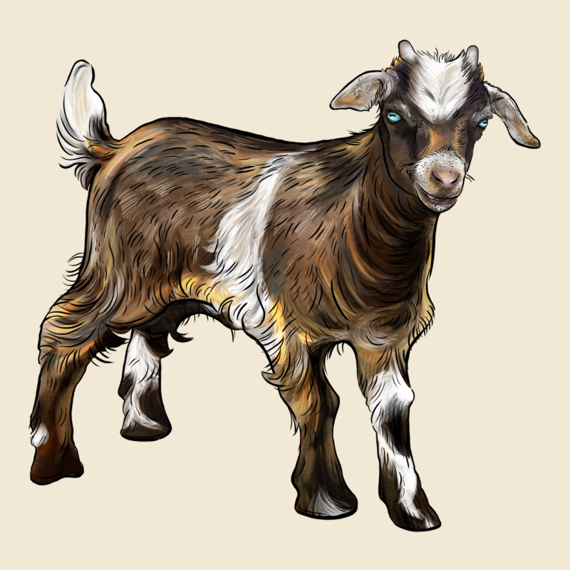 Baby Tennessee Fainting Goat Ladies Tee by LillyAllenDesigns | Teevron