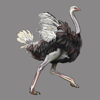 Ostrich Vintage Tee | Teevron