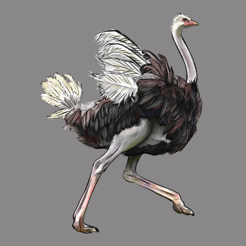 Ostrich Vintage Tee by LillyAllenDesigns | Teevron