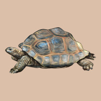 Tortoise Illustrations Urban Heavy Tee | Teevron
