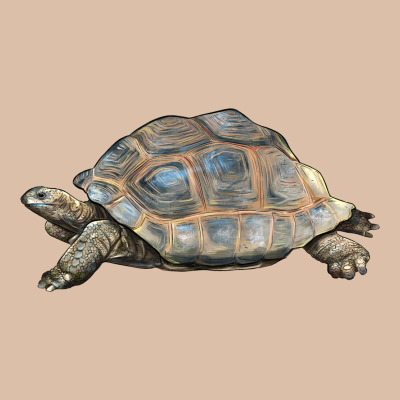 Tortoise Illustrations Urban Heavy Tee by LillyAllenDesigns | Teevron