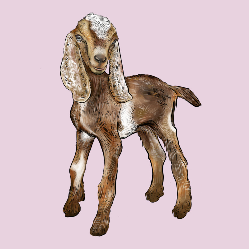 Baby Nubian Goat Ladies Tee by LillyAllenDesigns | Teevron