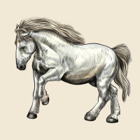 Percheron Horse Ladies Tee | Teevron