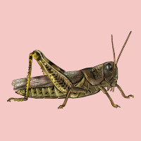 Grasshopper Urban Heavy Tee | Teevron