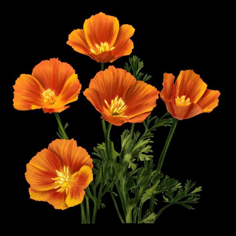 California Poppy Flower Heavy Core Tee by RanaPortraitStore | Teevron