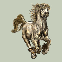 Percheron Horse Ladies Tee | Teevron