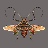 Acrocinus Beetle With Wings Urban Heavy Tee | Teevron