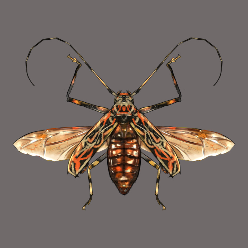 Acrocinus Beetle With Wings Urban Heavy Tee by LillyAllenDesigns | Teevron