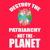 Destroy The Patriarchy Not The Planet Zipper Hoodie | Teevron