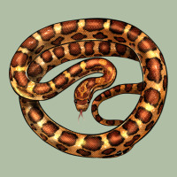 Corn Snake Illustrations Urban Heavy Tee | Teevron