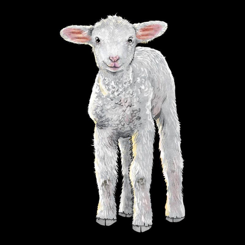 Merino Wool Baby Sheep Ladies Tee by LillyAllenDesigns | Teevron