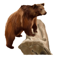 California Grizzly Bear | Teevron