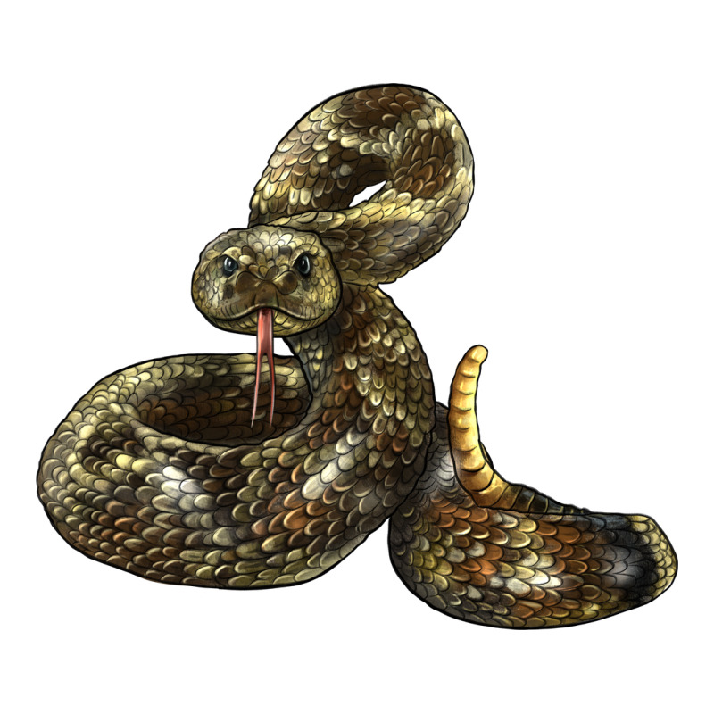 Rattlesnake Urban Heavy Tee by LillyAllenDesigns | Teevron