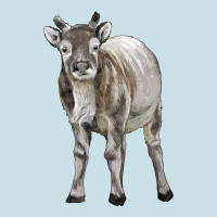 Reindeer Fawn Deer Ladies Tee | Teevron